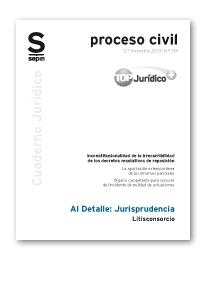 LITISCONSORCIO | 9788418247231 | EDITORIAL SEPIN