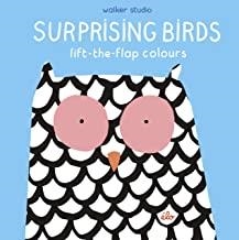 SURPRISING BIRDS. LIFT THE FLAP COLOURS | 9781406379501