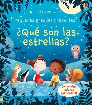 QUE SON LAS ESTRELLAS | 9781474944748 | DAYNES, KATIE