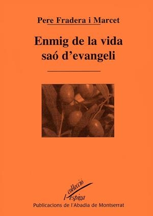 ENMIG DE LA VIDA SAÓ D'EVANGELI | 9788484154358 | FRADERA I MARCET, PERE