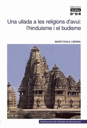 ULLADA A LES RELIGIONS D'AVUI, UNA. L'HINDUISME I EL BUDISME | 9788484152200 | ÀVILA I SERRA, MARTÍ