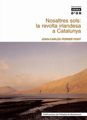 NOSALTRES SOLS: LA REVOLTA IRLANDESA A CATALUNYA | 9788484159131 | FERRER I PONT, JOAN-CARLES