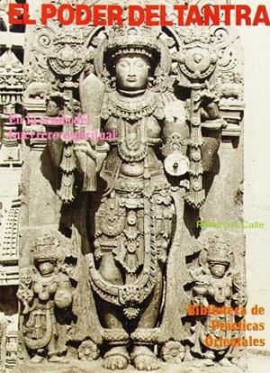 PODER TANTRA, EL. EN LA SENDA DEL GUERRERO ESPIRITUAL | 9788420302386 | CALLE, RAMIRO A.