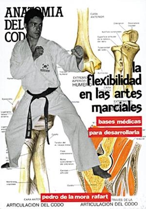 FLEXIBILIDAD EN LAS ARTES MARCIALES, LA | 9788420302324 | DE LA MORA RAFART
