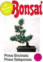 MUNDO DEL BONSAI, EL. PINUS UNCINATA Y PINUS HALEPENSIS | 9788420302195 | PÉREZ, RAFAEL