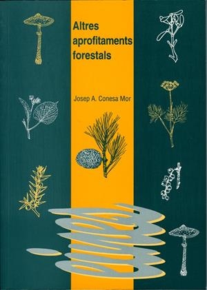 ALTRES APROFITAMENTS FORESTALS | 9788484090700 | CONESA MOR, JOSEP ANTONI