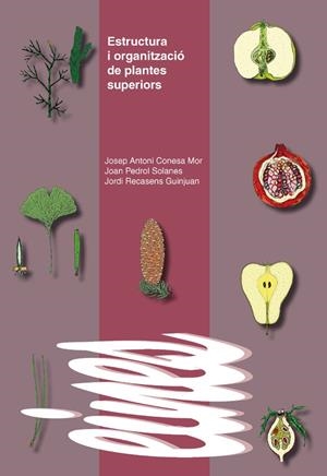 ESTRUCTURA I ORGANITZACIÓ DE PLANTES SUPERIORS | 9788484093107 | CONESA MOR, JOSEP ANTONI / PEDROL SOLANES, JOAN / RECASENS GUINJUAN, JORDI