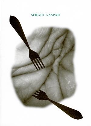 SERGIO GASPAR | 9788484093978