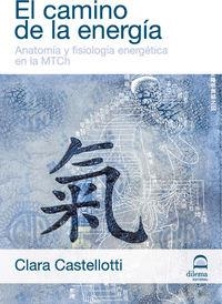 CAMINO DE LA ENERGÍA, EL | 9788498272178 | CASTELLOTTI, CLARA