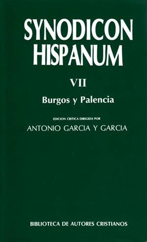 SYNODICON HISPANUM. VII: BURGOS Y PALENCIA | 9788479142872 | VARIOS AUTORES