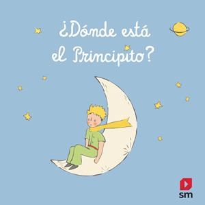 ¿DÓNDE ESTÁ EL PRINCIPITO? | 9788413185385 | VARIOS AUTORES