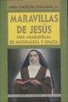 MARAVILLAS DE JESÚS | 9788484075509 | SAN JUAN DE ÁVILA