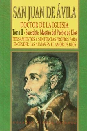 SAN JUAN DE ÁVILA | 9788484078517 | GONZÁLEZ CHAVES, ALBERTO JOSÉ