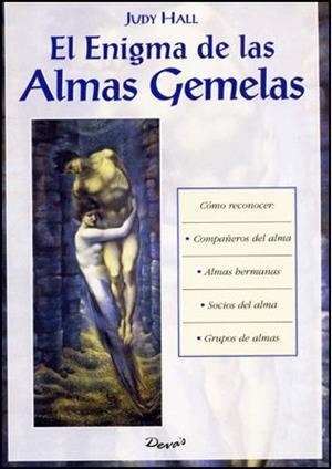 ENIGMA DE LAS ALMAS GEMELAS, EL | 9789875820173 | HALL, JUDYT
