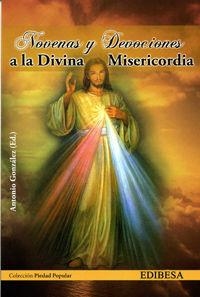 NOVENAS Y DEVOCIONES A LA DIVINA MISERICORDIA | 9788484078159 | CUADRADO TAPIA, RICARDO