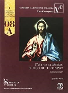 ¡TÚ ERES EL MESÍAS, EL HIJO DEL DIOS VIVO! | 9788471418531 | MAGAZ FERNÁNDEZ, JOSÉ MARÍA