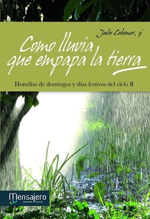 COMO LLUVIA QUE EMPAPA LA TIERRA | 9788427132344 | COLOMER CASANOVA, JULIO