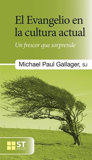 EVANGELIO  EN LA CULTURA ACTUAL, EL | 9788429321517 | GALLAGHER, MICHAEL PAUL