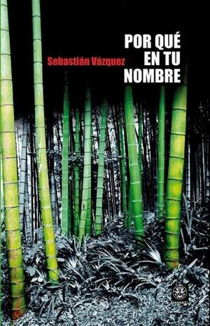 POR QUE EN TU NOMBRE | 9788498271928 | VAZQUEZ, SEBASTIAN