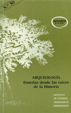 ARQUEOLOGIA. ENSEÑAR DESDE LAS RAÍCES DE LA HISTORIA | 9788427708938 | OCHOA, C. F. / GALLEGO, M. V.