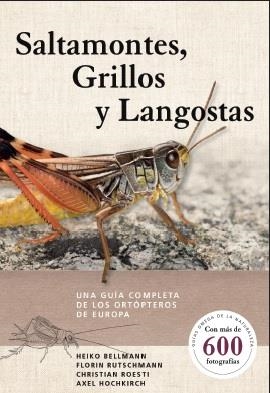 SALTAMONTES, GRILLOS Y LANGOSTAS | 9788428217279 | BELLMANN, HEIKO / RUTSCHMANN, FLORIN / ROESTI, CHRISTIAN