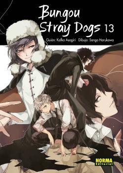 BUNGOU STRAY DOGS 13 | 9788467936582 | HARUKAWA / ASAGIRI