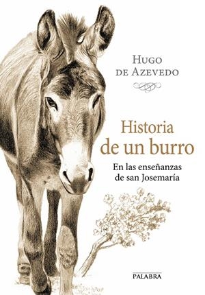 HISTORIA DE UN BURRO | 9788490613153 | AZEVEDO, HUGO DE