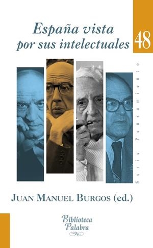 ESPAÑA VISTA POR SUS INTELECTUALES | 9788490612361 | BURGOS VELASCO, JUAN MANUEL