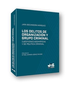 DELITOS DE ORGANIZACION Y GRUPO CRIMINAL, LOS | 9788412175172 | BOCANEGRA MARQUEZ, JARA