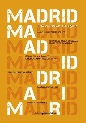 MADRID. UNA VISIÓN ACTUALIZADA | 9788417905347 | VARIOS AUTORES