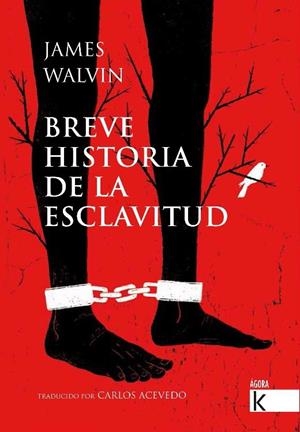 BREVE HISTORIA DE LA ESCLAVITUD | 9788416721689 | WALVIN, JAMES