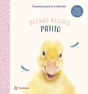 BUENAS NOCHES, PATITO | 9788417749620 | WOOD, AMANDA