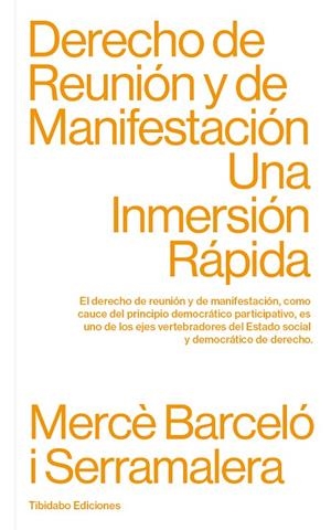 DERECHO DE REUNIÓN Y DE MANIFESTACIÓN. UNA INMERSIÓN RÁPIDA | 9788413475806 | BARCELÓ I SERRAMALERA, MERCÈ