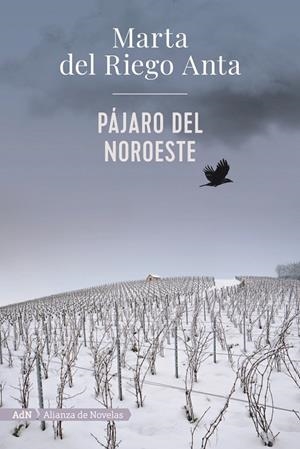 PÁJARO DEL NOROESTE | 9788413620558 | RIEGO, MARTA DEL