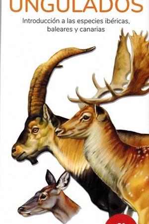 UNGULADOS. INTRODUCCIÓN A LAS ESPECIES IBÉRICAS, BALEARES Y CANARIAS. | 9788418458064 | HERNÁNDEZ, VICTOR J.