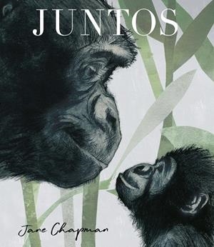 JUNTOS | 9788413344959