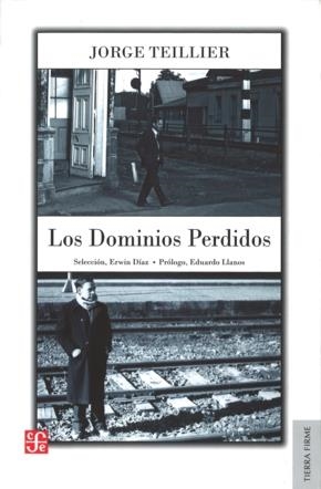 DOMINIOS PERDIDOS, LOS | 9789562890625 | TEILLIER, JORGE