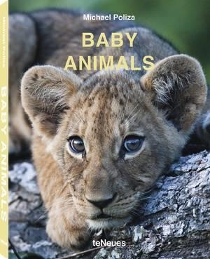 BABY ANIMALS | 9783961711413 | POLIZA, MICHAEL