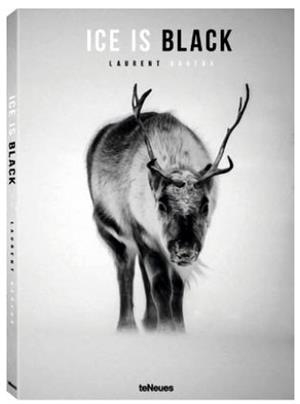 ICE IS BLACK | 9783961710485 | BAHEUX, LAURENT
