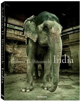 INDIA | 9783832794804 | BITESNICH, ANDREAS