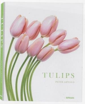 TULIPS | 9783961712656 | ARNOLD, PETER