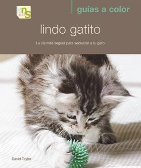 LINDO GATITO | 9788493662639 | TAYLOR, DAVID