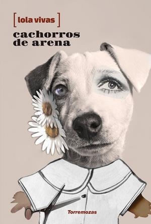 CACHORROS DE ARENA | 9788478398218 | VIVAS, LOLA