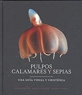 PULPOS, CALAMARES Y SEPIAS | 9788428217217 | HANLON, ROGER / VECCHIONE, MIKE / ALLCOCK, LOUISE