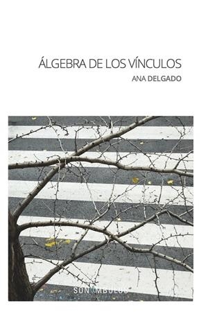 ÁLGEBRA DE LOS VÍNCULOS | 9788412204018 | DELGADO, ANA