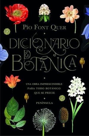 DICCIONARIO DE BOTÁNICA | 9788499429076 | FONT QUER, PÍO