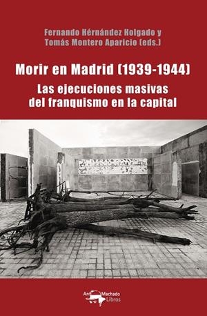 MORIR EN MADRID (1939-1944) | 9788477744931 | HERNANDEZ HOLGADO, FERNANDO / MONTERO APARICIO, TOMAS