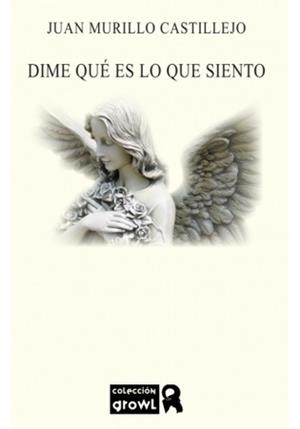DIME QUE ES LO QUE SIENTO | 9788494977251 | MURILLO CASTILLEJO, JUAN