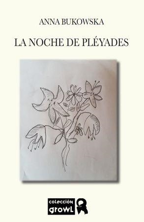 NOCHE DE PLEYADES, LA | 9788412074123 | BUKOWSKA, ANNA