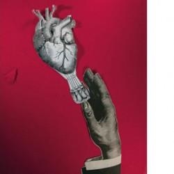 MUNDO PARA EL HOMBRE DE HOJALATA, UN | 9788494501425 | AGUADO, OSCAR